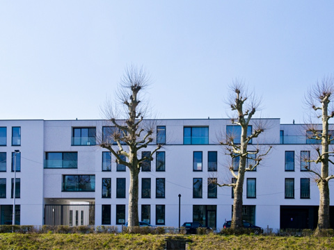 Nederlands Art Medico clinic